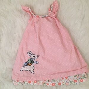 Gymboree girls infant 6-12mo peter rabbit dress
